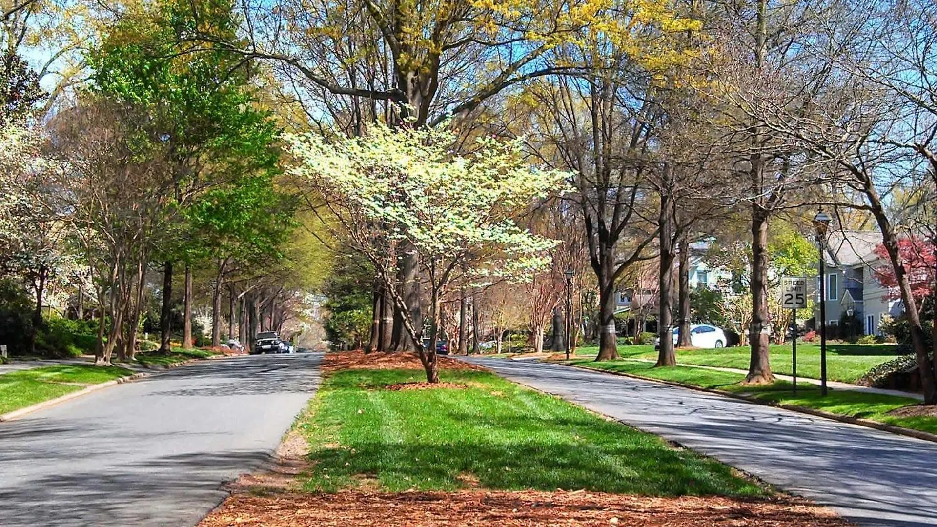 Chic And Comfortable 2Br Near Uptown Charlotte Holiday home