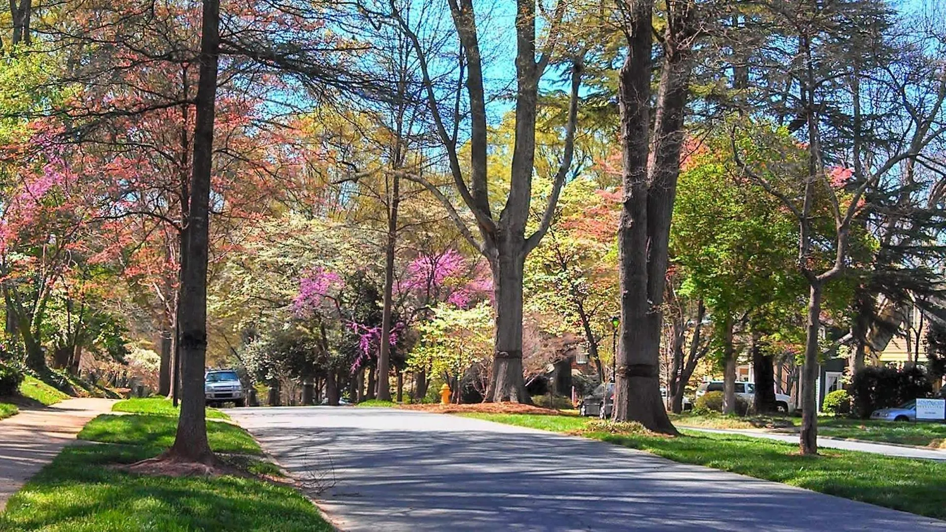 Holiday home Chic And Comfortable 2Br Near Uptown Charlotte United States